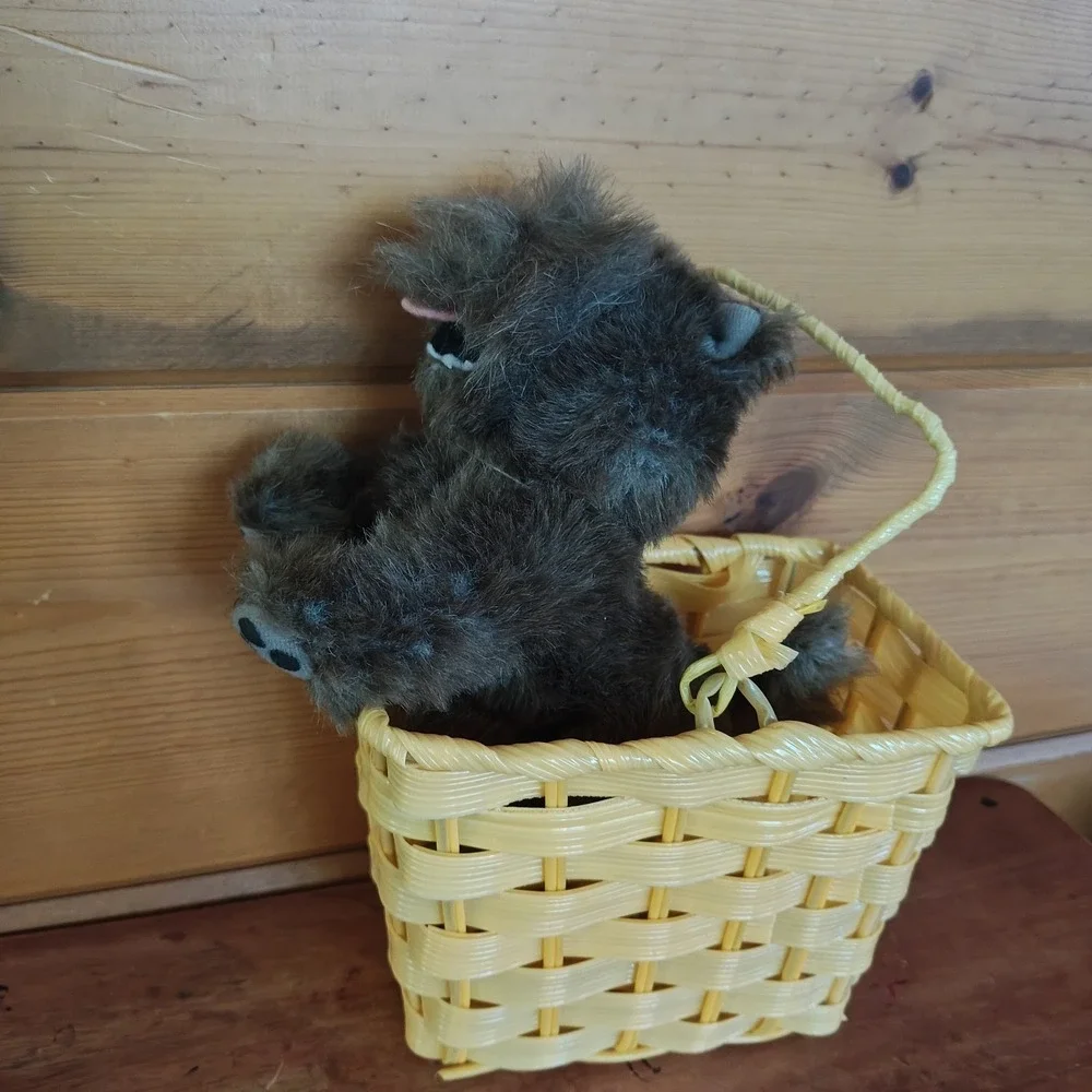 Wizard of Oz Toto in Basket Wonders Dog‎ Halloween Costume Accessory D22